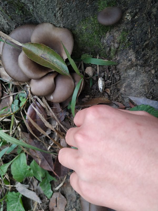 杭州市周末自驾游去哪里好玩,杭州出发周末旅游攻略