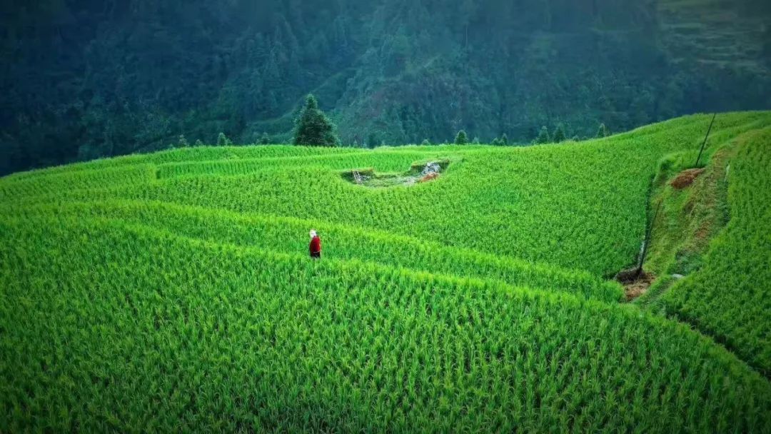 年终假期,推荐几个打卡圣地给你
