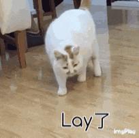 成分危险的护肤品怎么处理,各种化妆品成分及危害