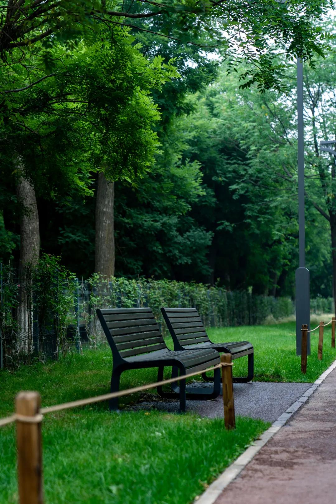 西安花海小森林,西安周边适合郊游野餐的地方