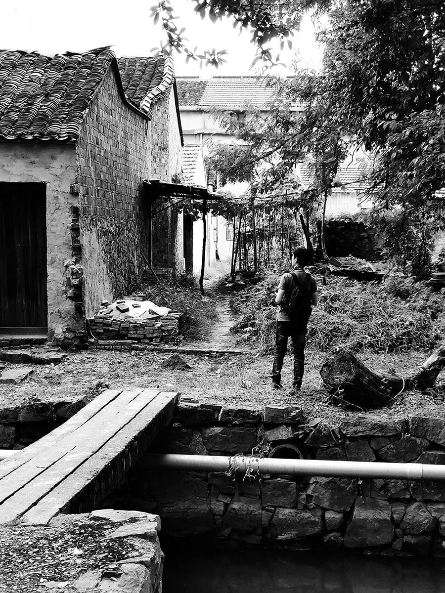 阿文绘画工作室,阿文流体画荷花