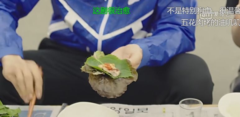 阳台种紫苏叶子什么时候变紫,紫苏怎么种才能出得快