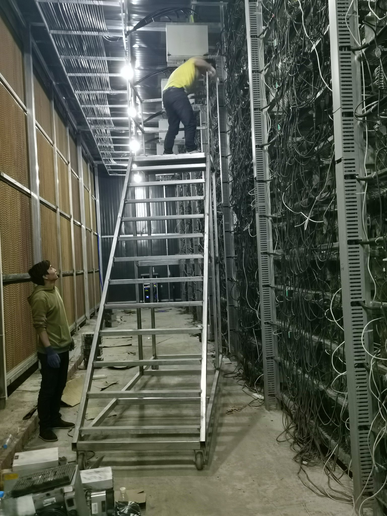 瞎玩菌的游戏周报:显卡战争、Xbox扩展发布会、天价法拍卡牌等