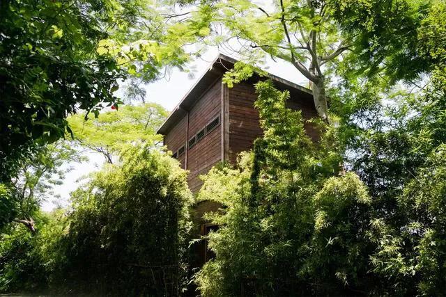 深圳免费公园哪里最好啊,深圳十大免费公园景点大全