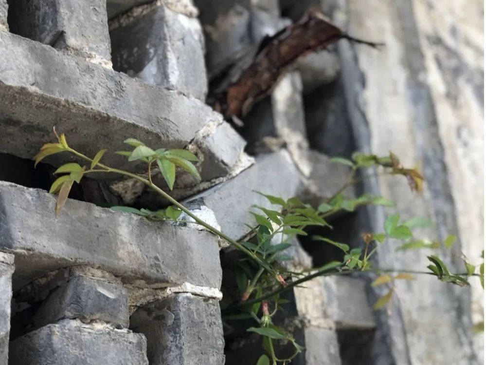 刘桥老街在哪里,郑州刘桥老街