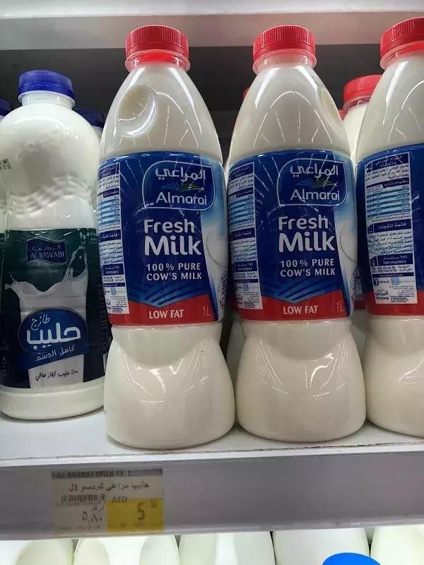 在迪拜生活的有多好,在迪拜普通人打工生活消费高吗