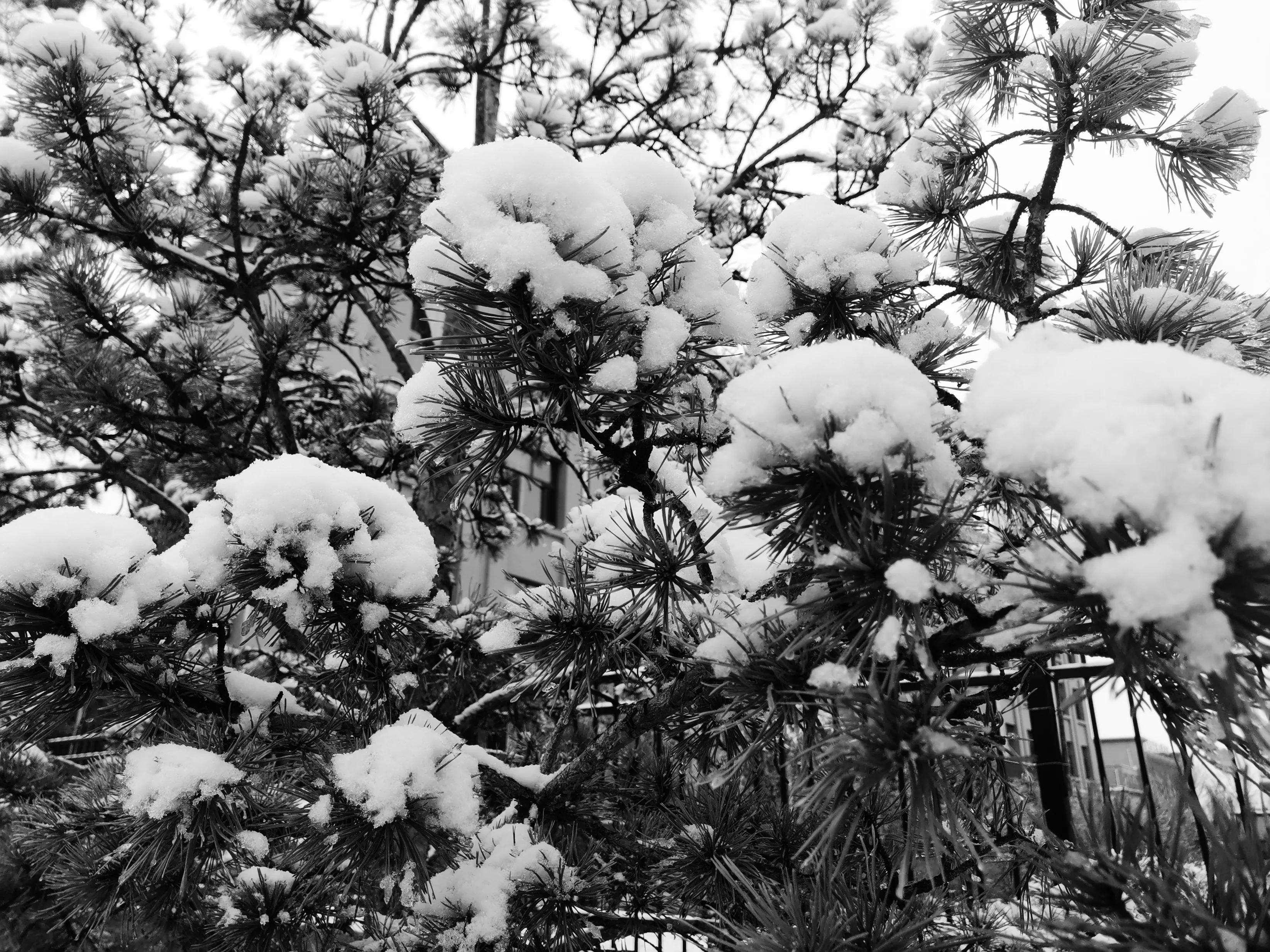 缁i瀷鍨効瑙嗛,缁i瀷鍨効