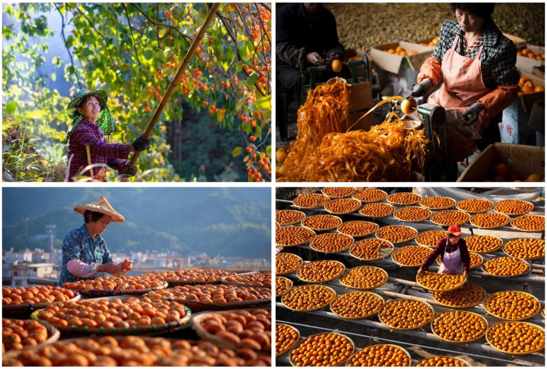 走向我们的小康生活9张海报,幸福新时代主题摄影作品