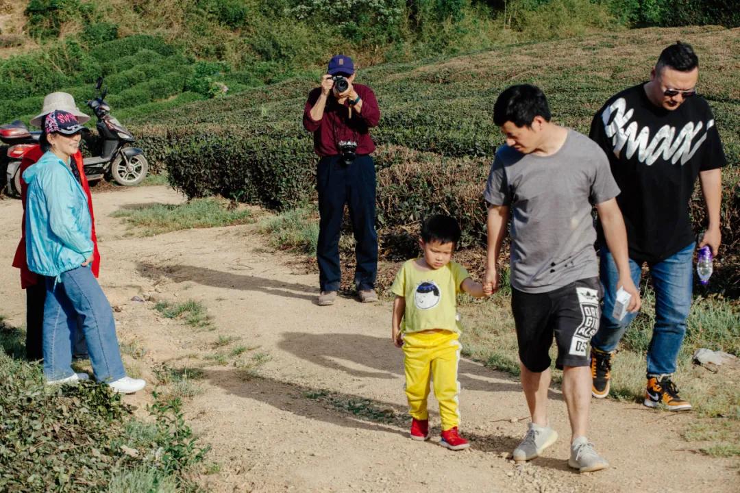 杭州百景｜龙坞，茶，太阳，酒，音乐