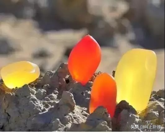 戈壁滩上的宝贝,新疆戈壁沙漠上的宝贝