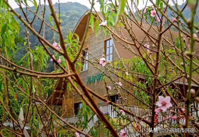 从化旅游景点大全樱花,从化樱花旅游景点