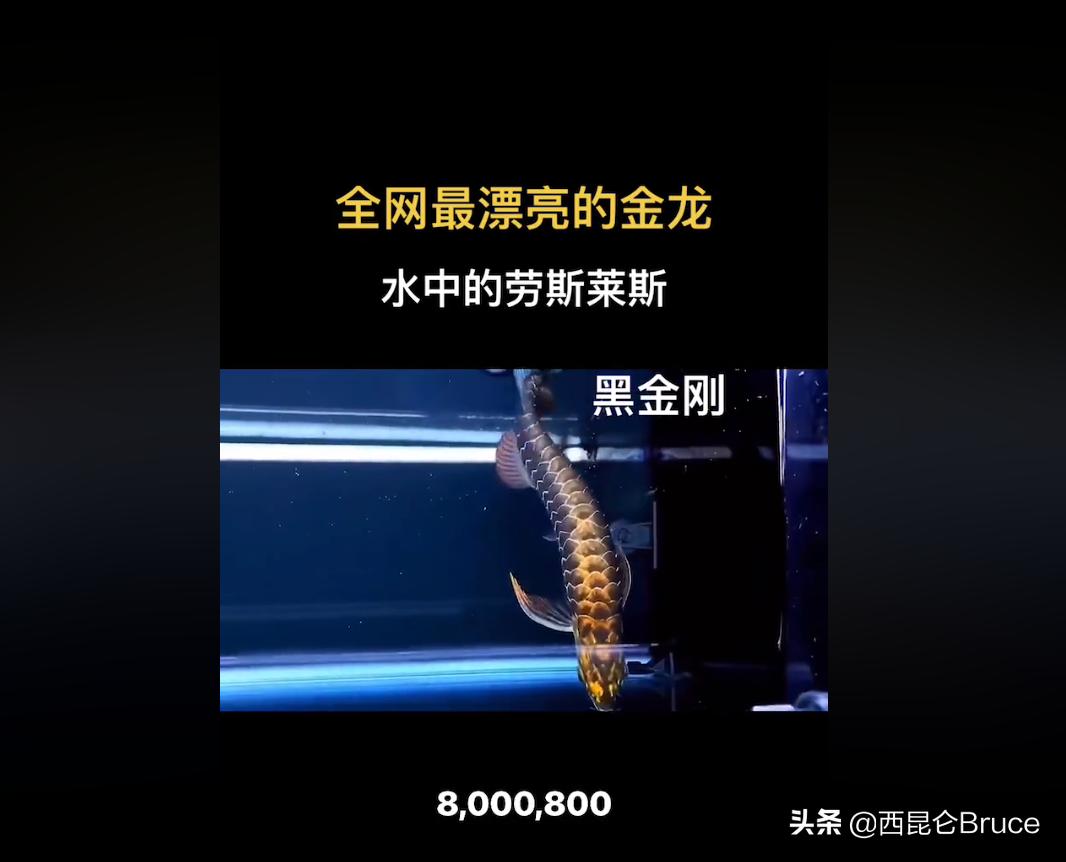 800万加长版的劳斯莱斯,800万天价拍卖视频