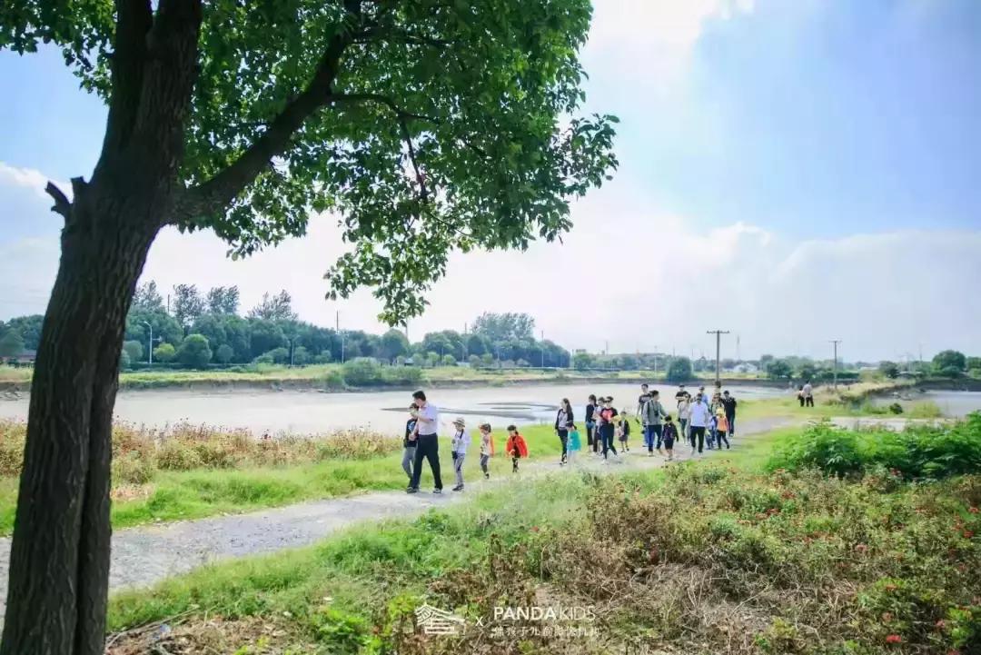 这处距上海1h的这个江南水乡，才是承载都市人田园梦的“理想村”