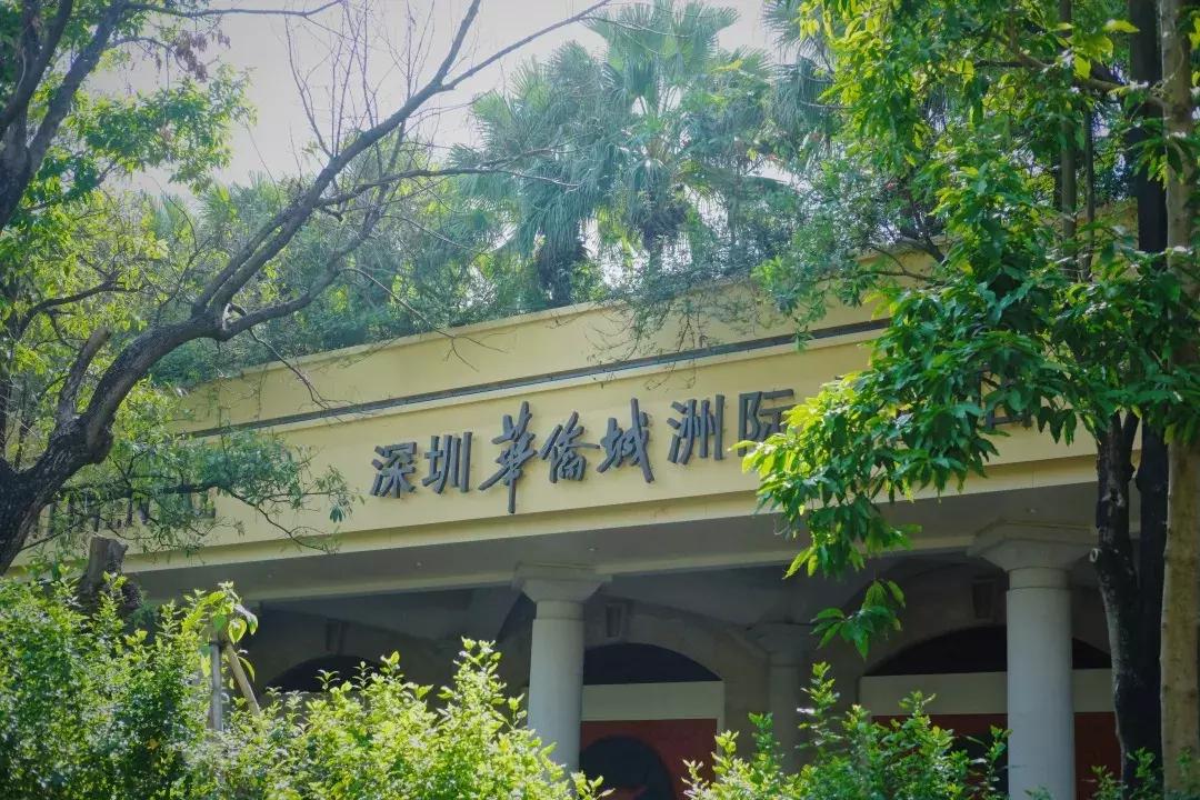 最近的华侨城,独一无二华侨城