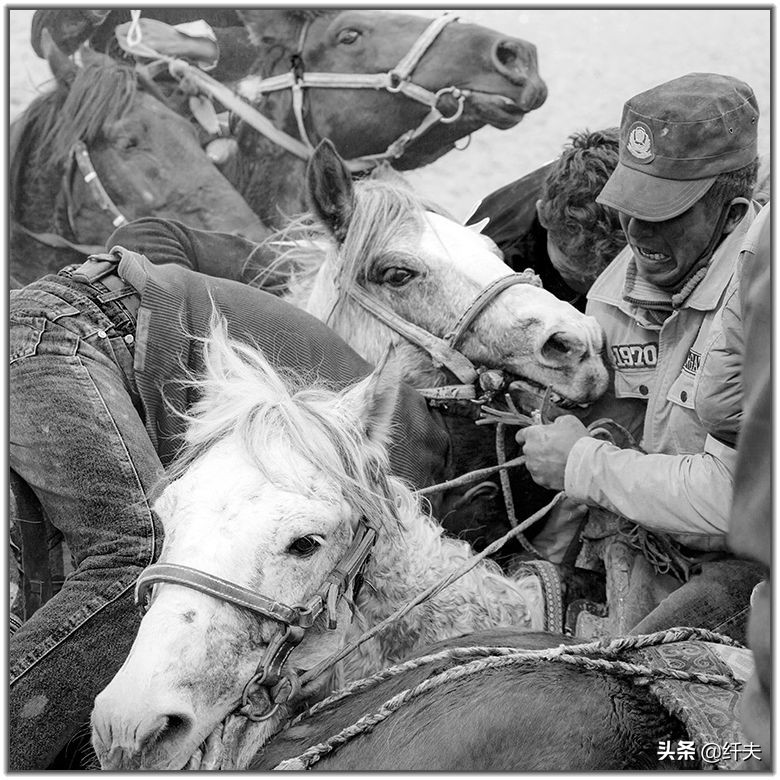 塔吉克族叼羊完整视频,蒙古叼羊比赛