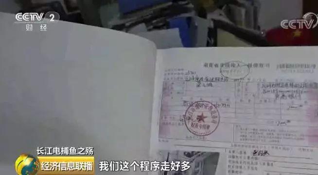 刑法规定的禁止使用捕鱼方法,非法捕鱼为什么屡禁不止
