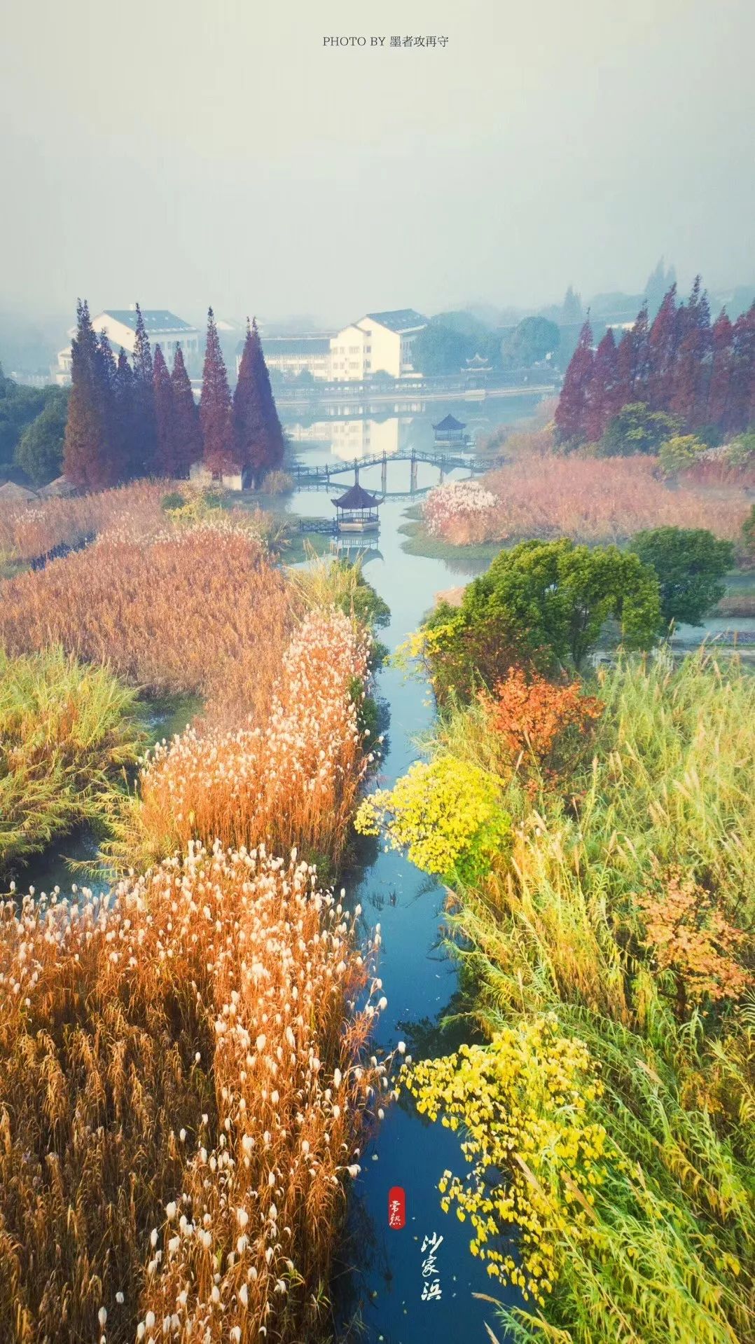 一入秋西安就美成长安,一入秋杭州就美成临安