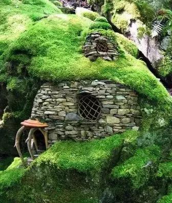 禅意庭院一定要用苔藓吗,禅意苔藓微景观制作视频