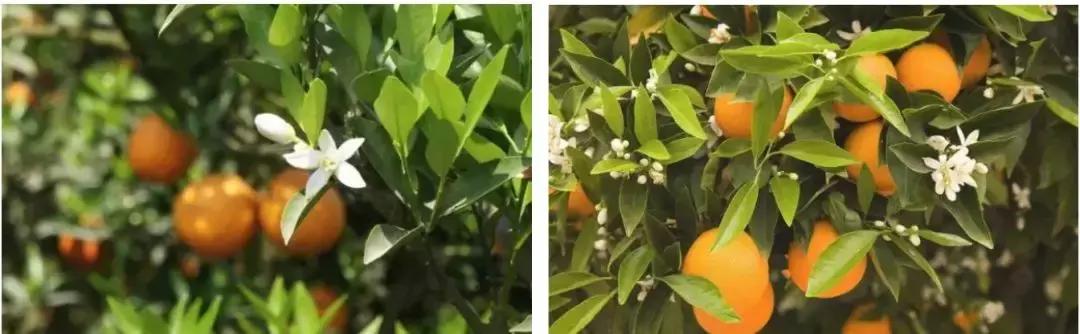 成都小众网红打卡地,成都最值得去的小众打卡地