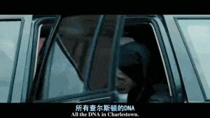 车贴幽默搞笑图片,车贴搞笑的图片