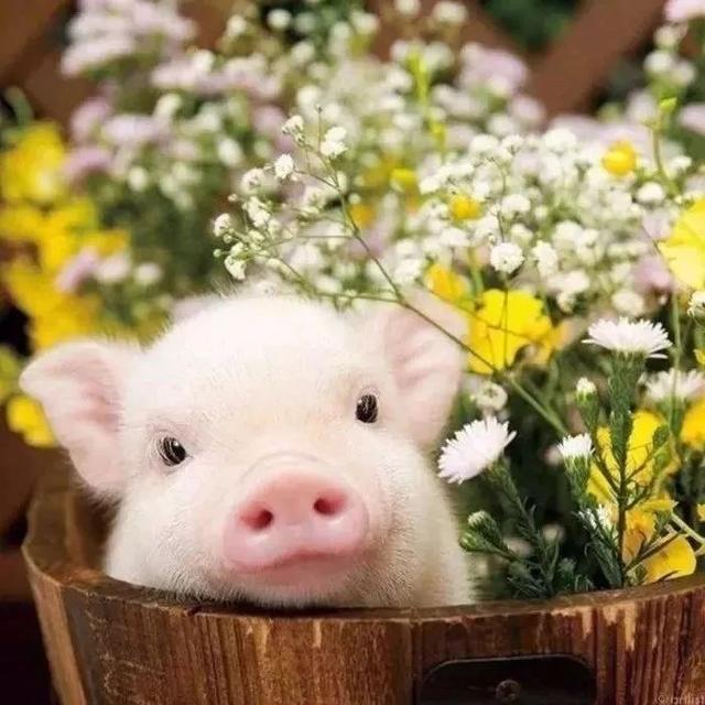 真香好物分享：科颜氏痘肌福音，Pixi喷雾平价，WLab懒人必备