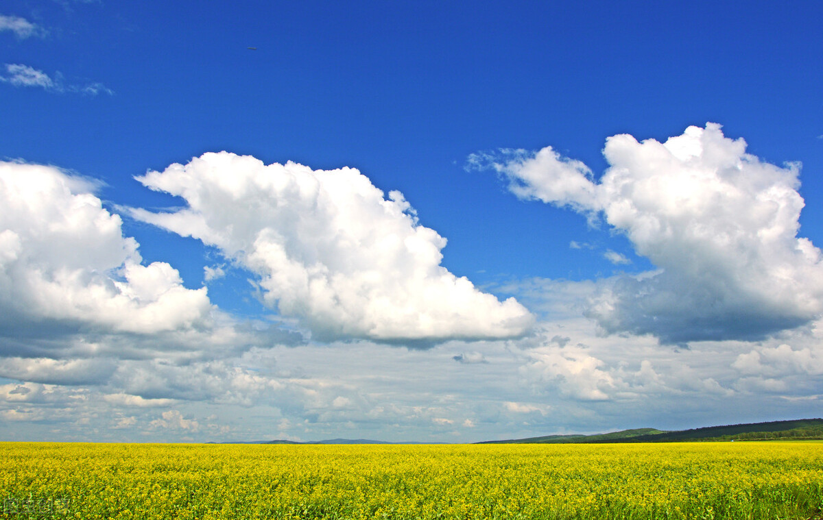 女人肾虚怎么补最快最好,女性肾虚脾虚怎么调理最佳