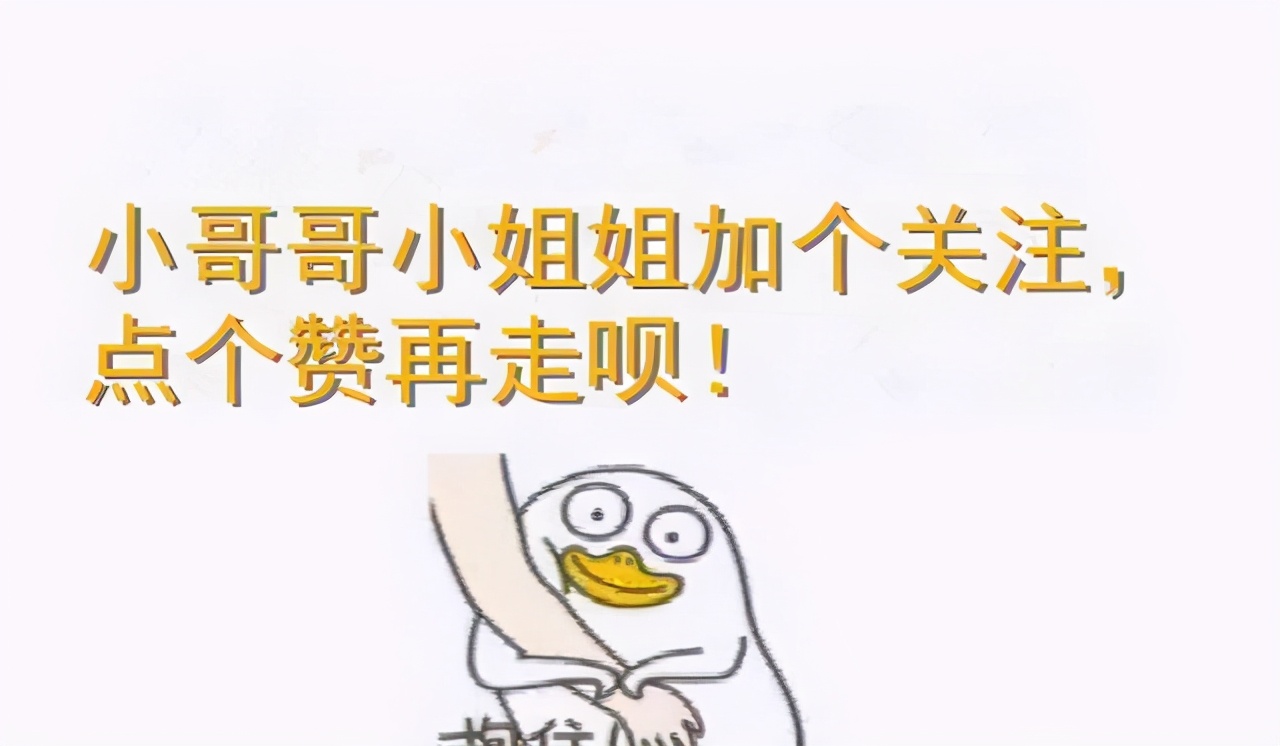 猫咪逗猫最好的方法,猫咪逗猫的正确方法