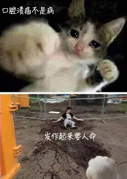 反复口腔溃疡竟被查出癌症,深圳男子口腔溃疡导致舌癌