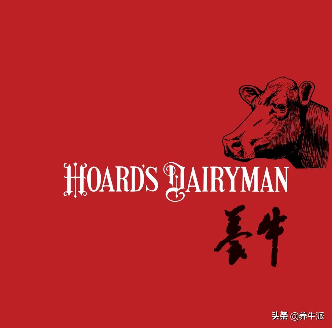 qa检查机,qa需要做到什么