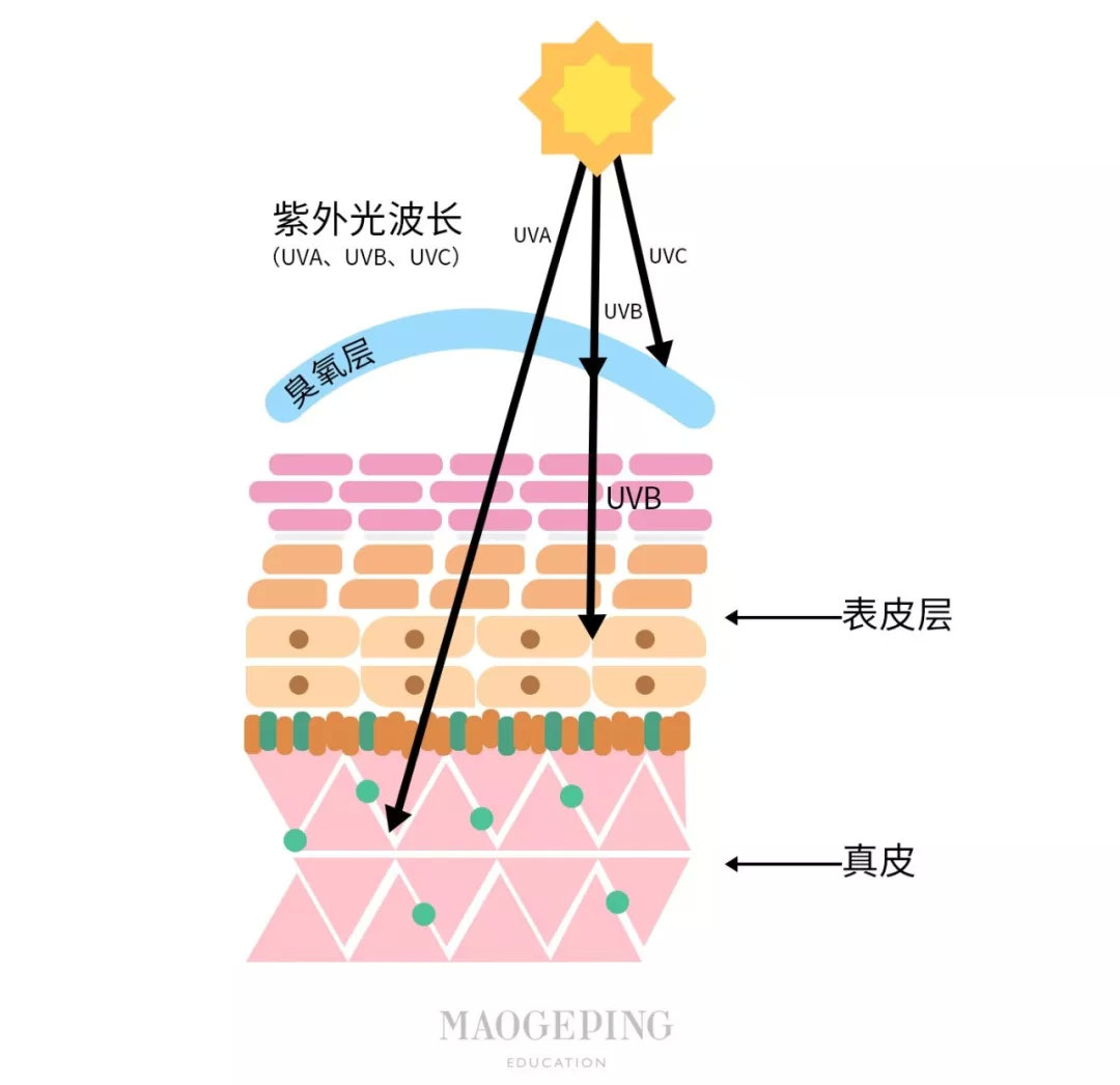化妆的正确步骤顺序男生简单,雅诗兰黛化妆的正确步骤顺序