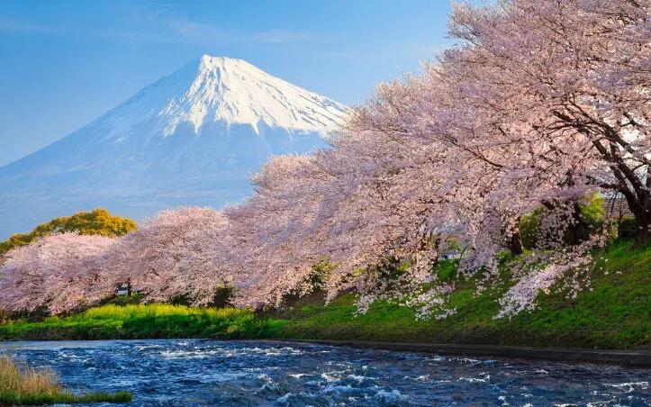 买太平洋金佑人生划得来吗,买太平洋金佑人生险好吗