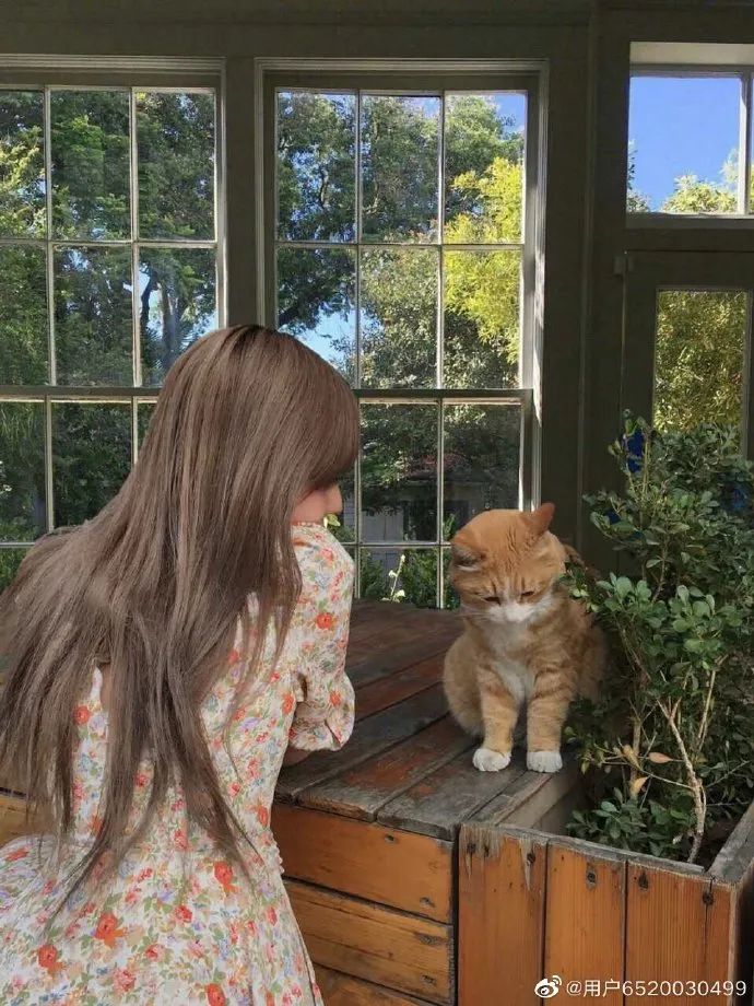 周扬青深夜谈罗志祥,周扬青罗志祥最后怎么样了