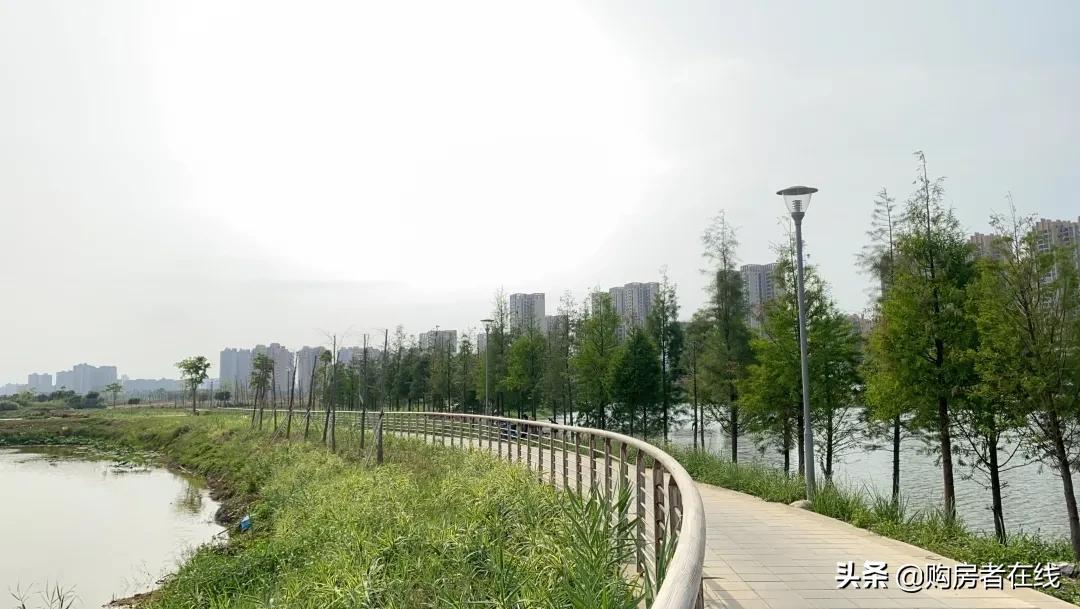 实探山景好的楼盘,实探新区核心地块