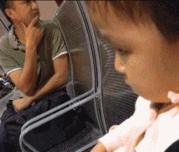 搞笑gif段子又能混饭吃了,搞笑段子gif保证你笑破肚皮