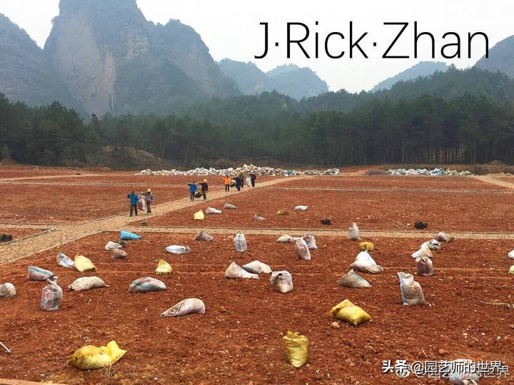 适合北方庭院种植的低矮草坪,家庭庭院怎样混搭种植草坪和蔬菜