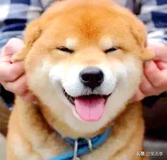 超搞笑的搞笑故事能让人笑喷,生活中的幽默搞笑故事