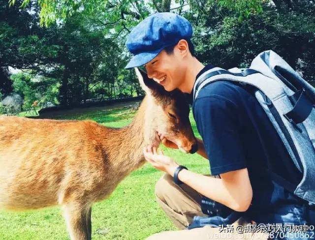 刘昊然拍照姿势教学,刘昊然自拍照环绕模板