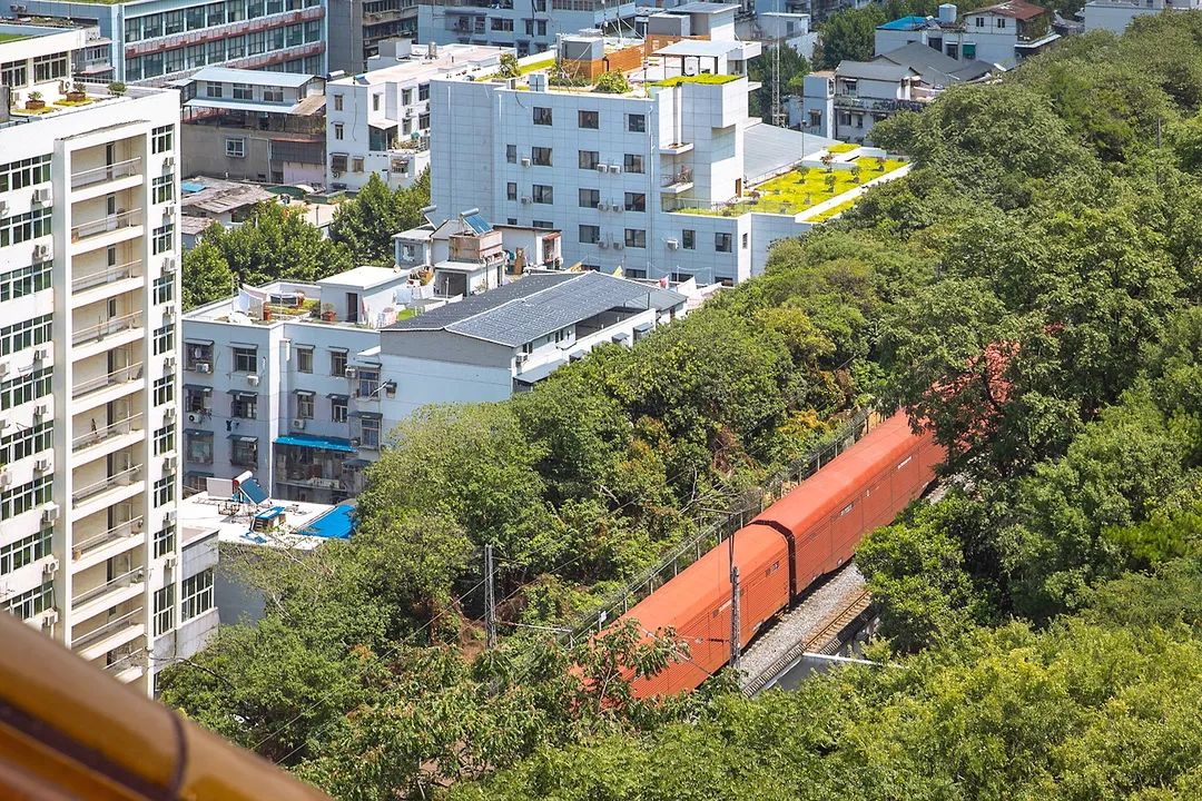 武汉人一般去不去黄鹤楼,武汉人为什么要去旅游呢