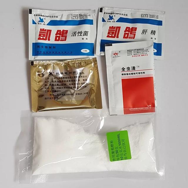 新手养鹦鹉的5大忌和注意事项,养鹦鹉需要预防的药