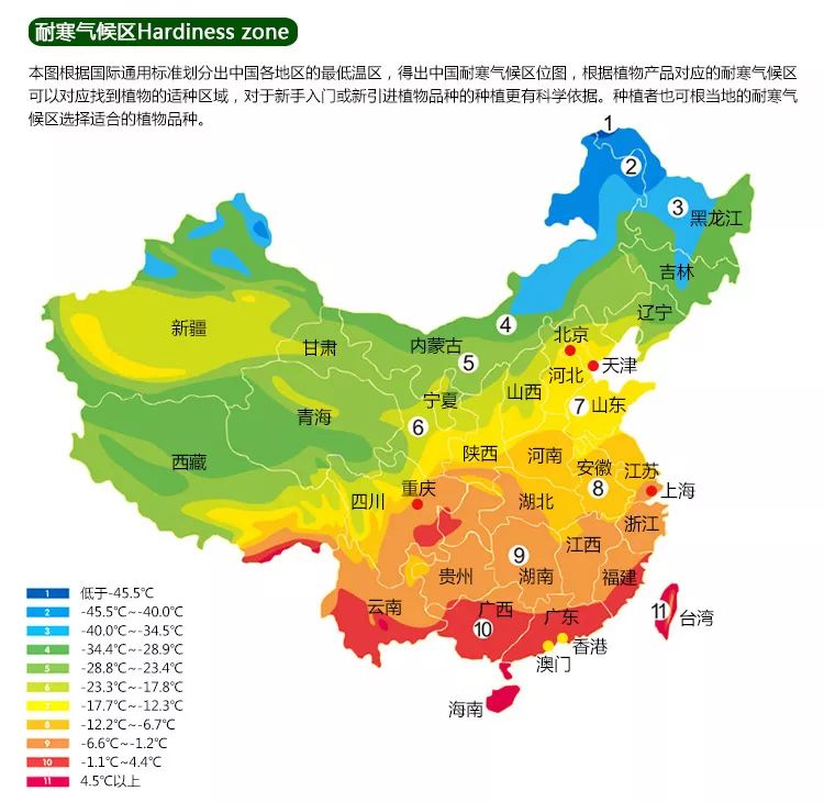 马蹄莲的种植方法,马蹄莲的种植指南