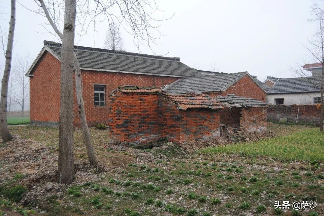 小说：烂赌鬼杀8人只放过女童：1980年李海云全家*门惨灭**案