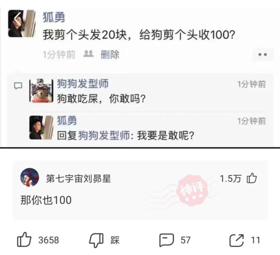 养了三年的兔子淹死了搞笑评论,神评论养了五年的羊