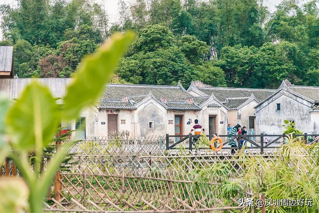 住在深圳的人,住在深圳的市民