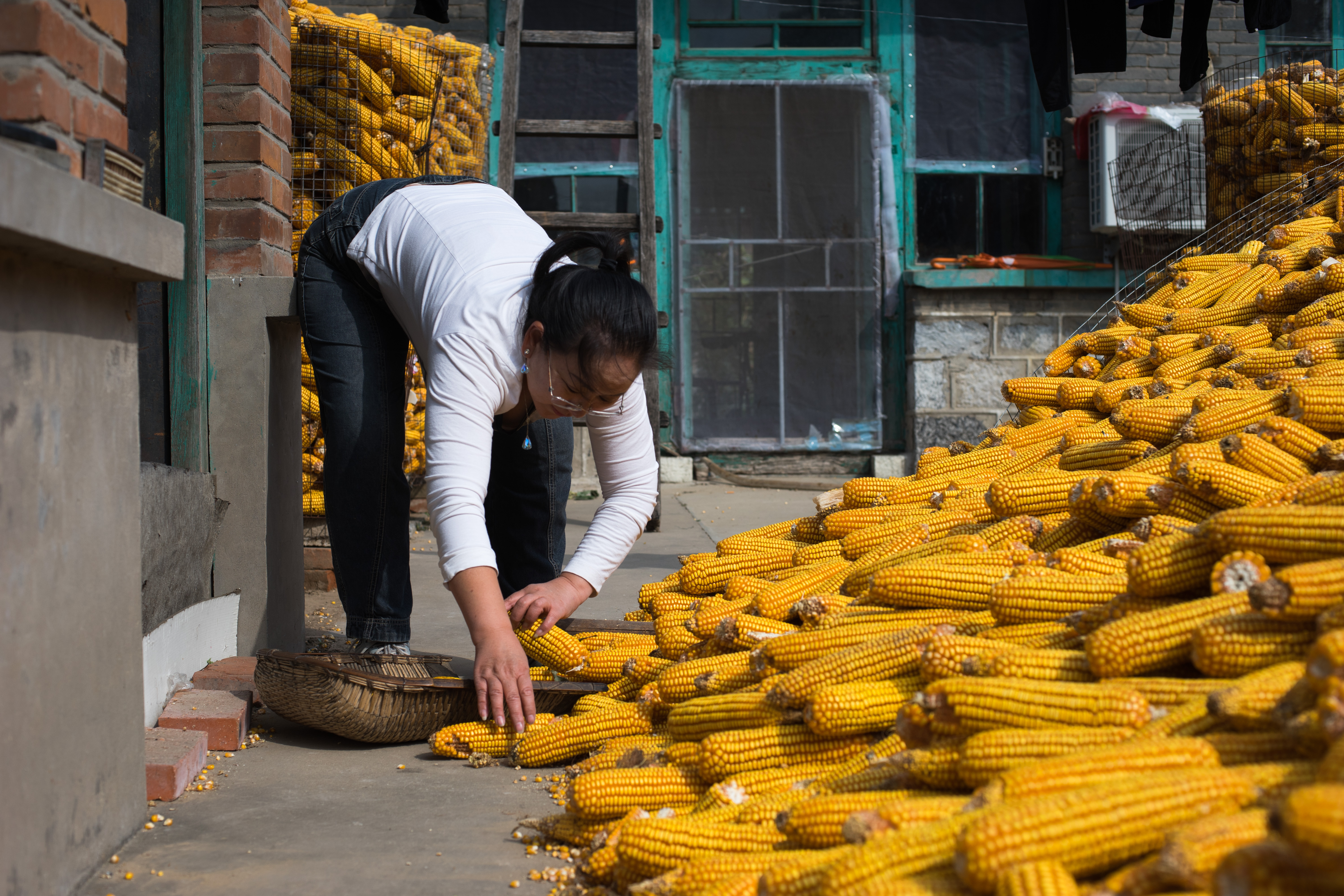 哈尔滨去太行山大峡谷,哈尔滨出发游南太行山