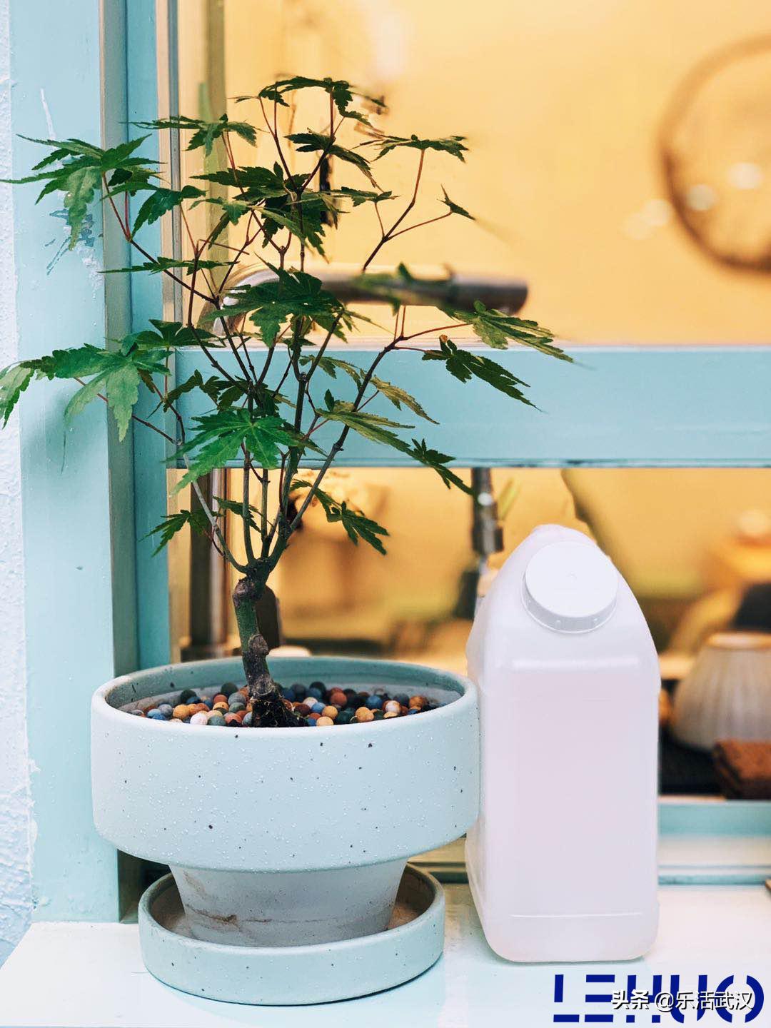 IN武汉：小而美的新店名单又更新了！咖啡甜品控们不可错过