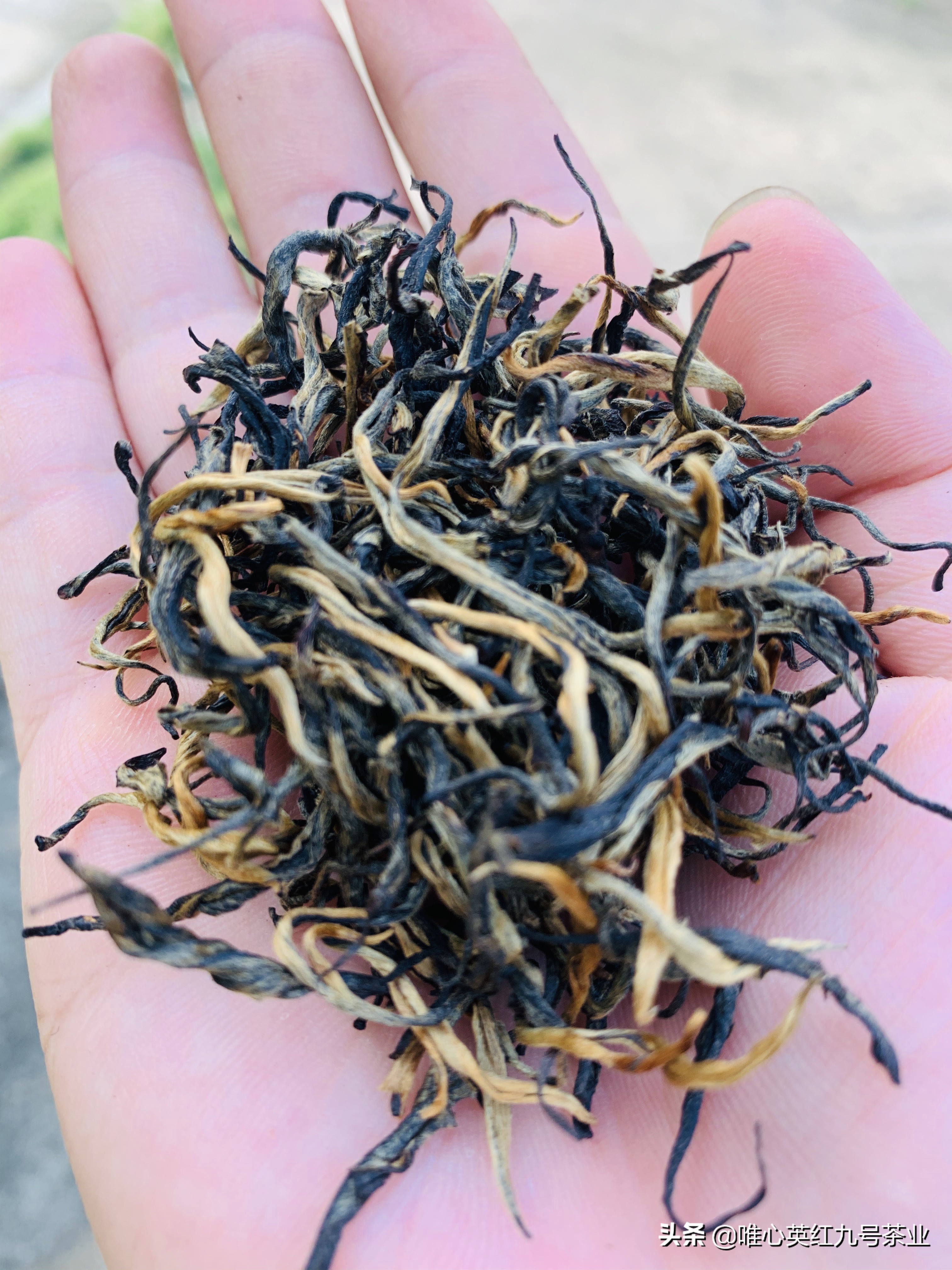 选择什么样的红茶最好,红茶怎么选择最好