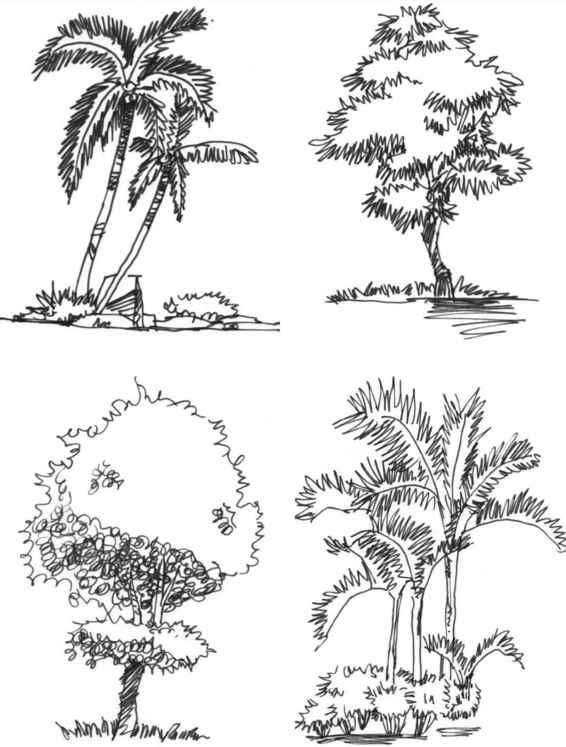 零基础如何快速学会画速写,速写不会画就画大卫