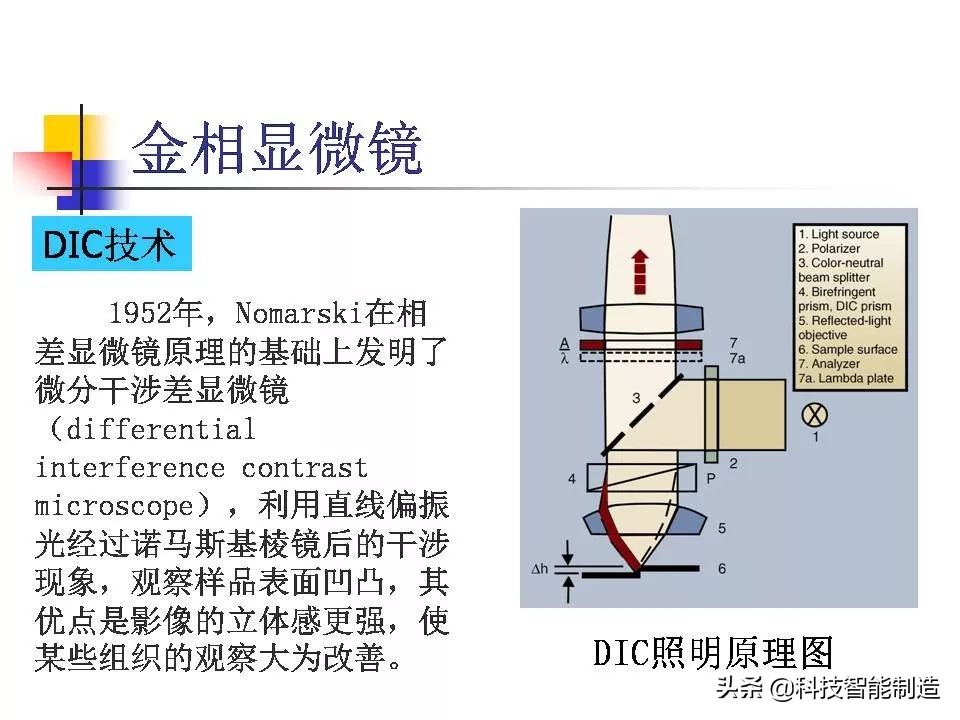 材料科学基础和金相分析,金属金相组织基本知识
