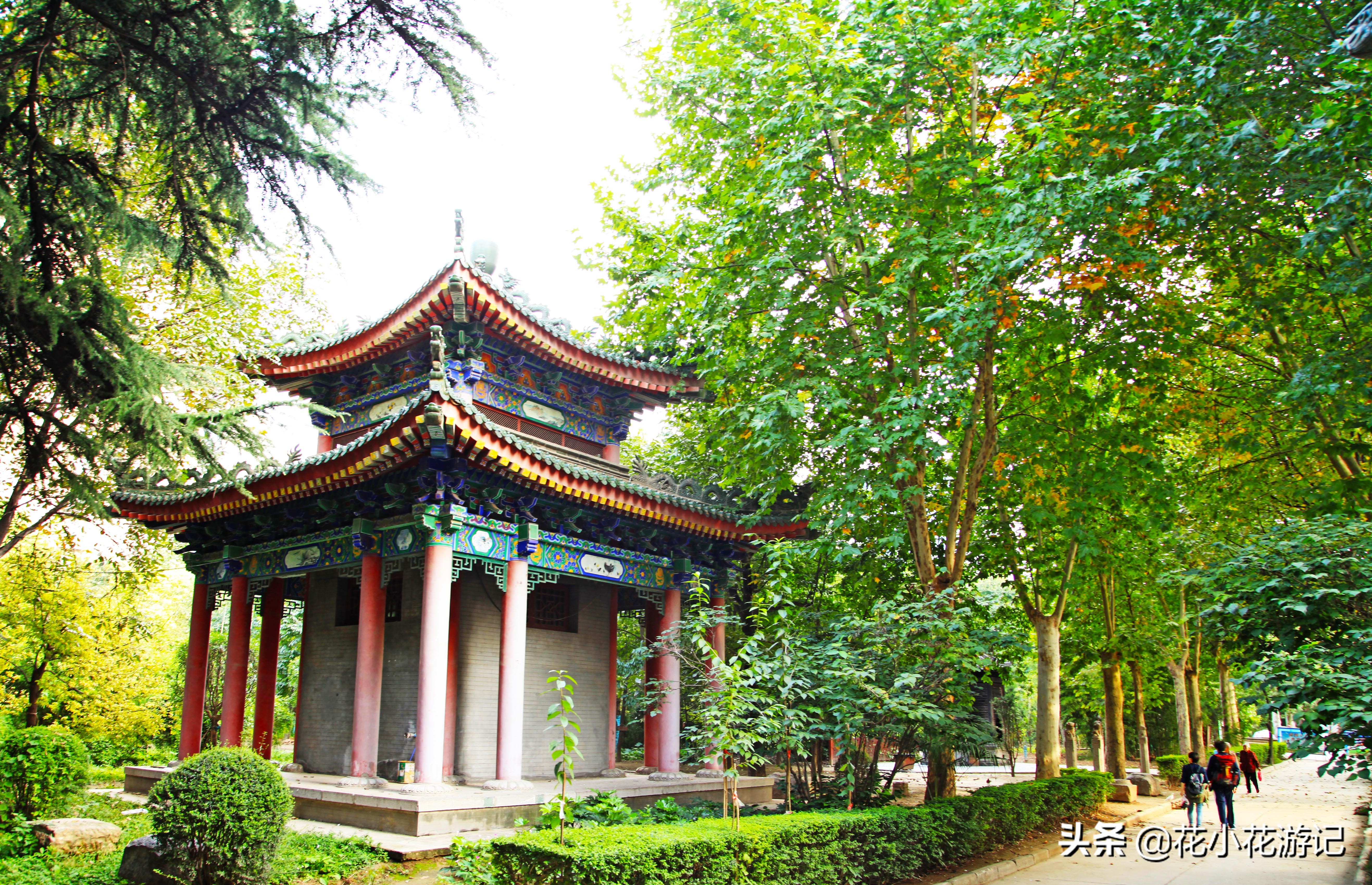 澶у叴鍠勫鐨堜緷娉曚細,澶у叴鍠勫澶ч泟瀹濇绁堢璇电粡