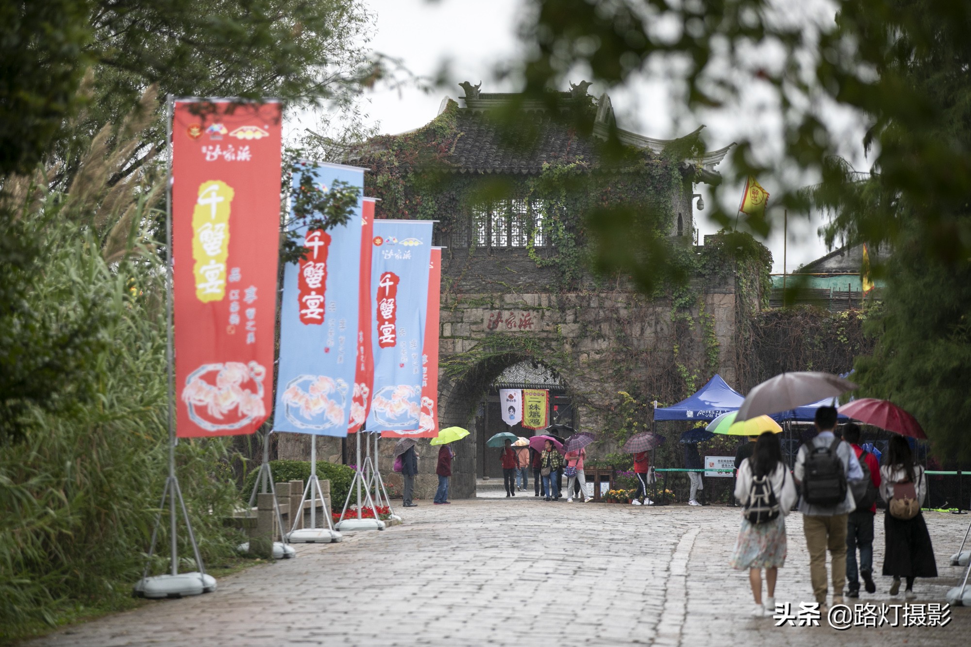 沙家浜江南美景,常熟芦苇荡螃蟹